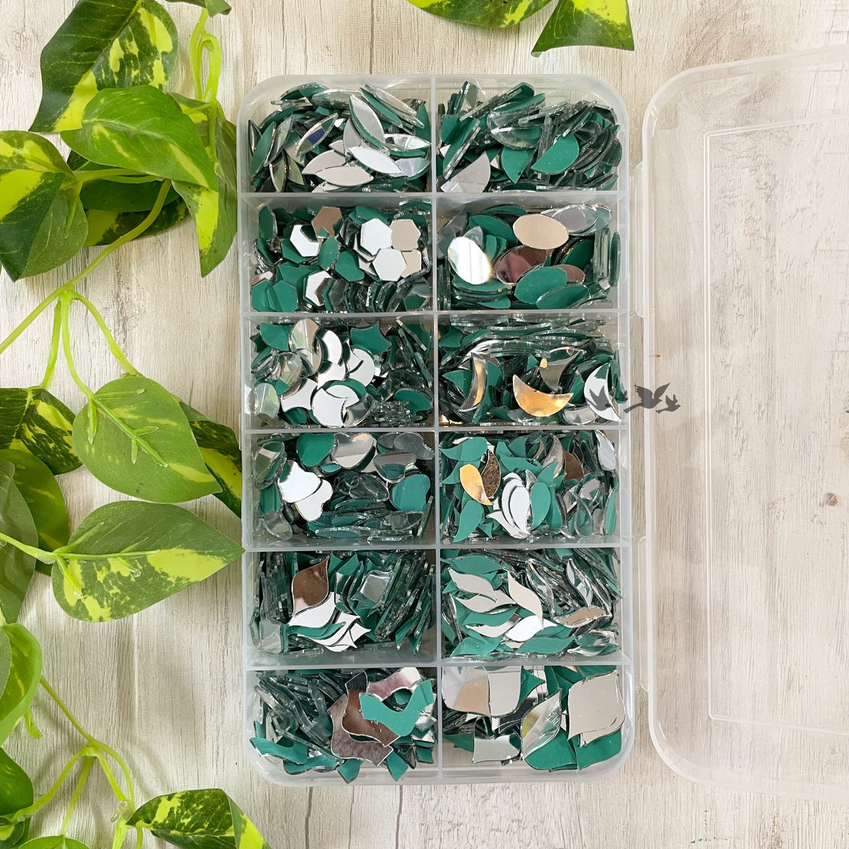 Glass Mirror Combo - Premium Shapes