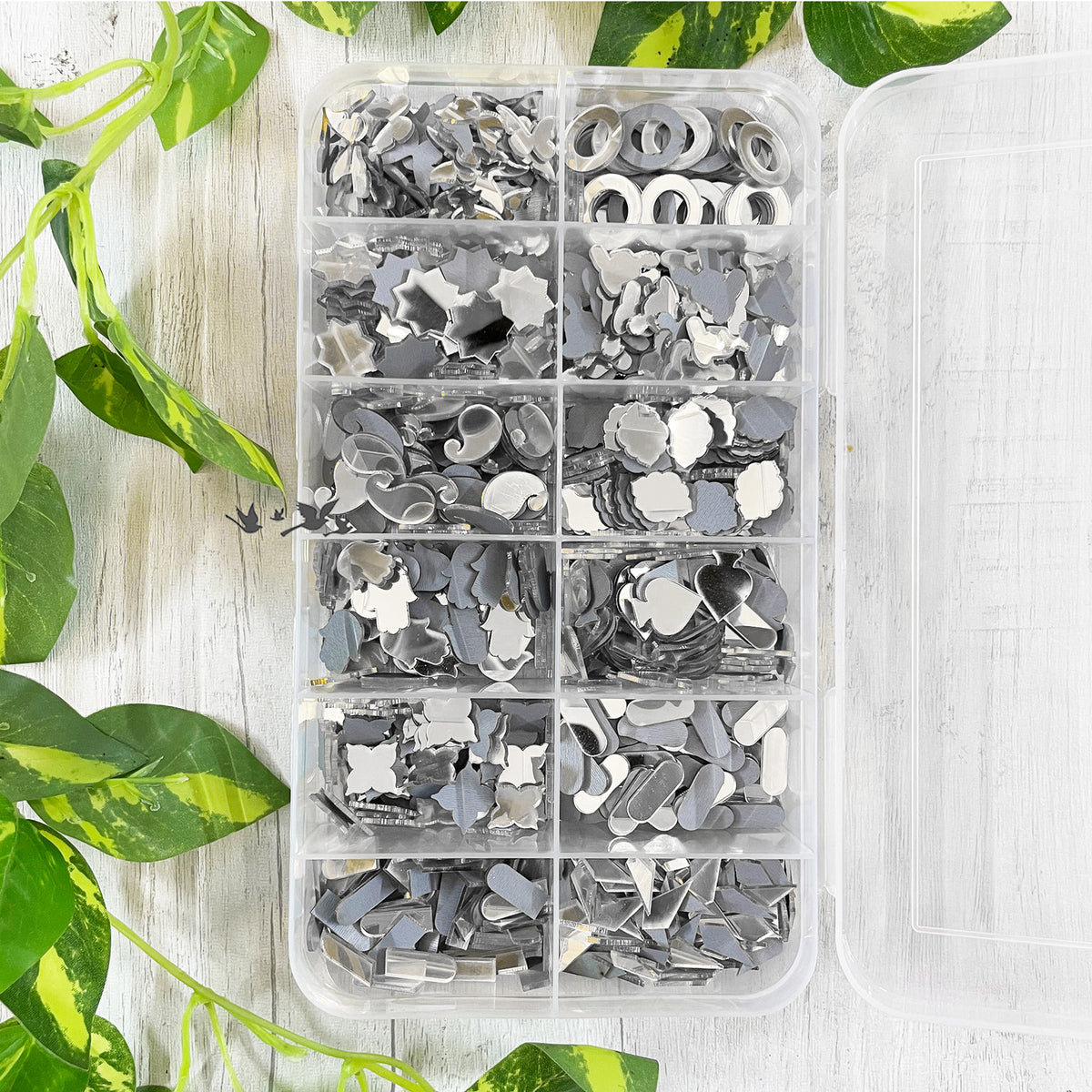 Acrylic Mirror Combo - Silver premium shapes