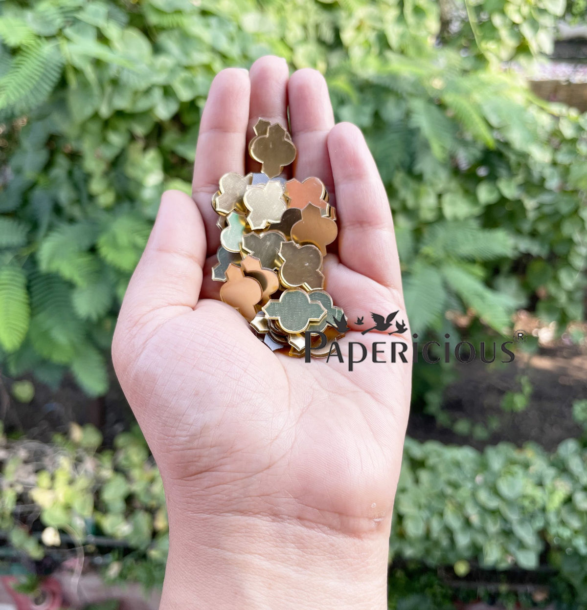 Acrylic Lippan Art Golden Mirror Cutouts - Ornate