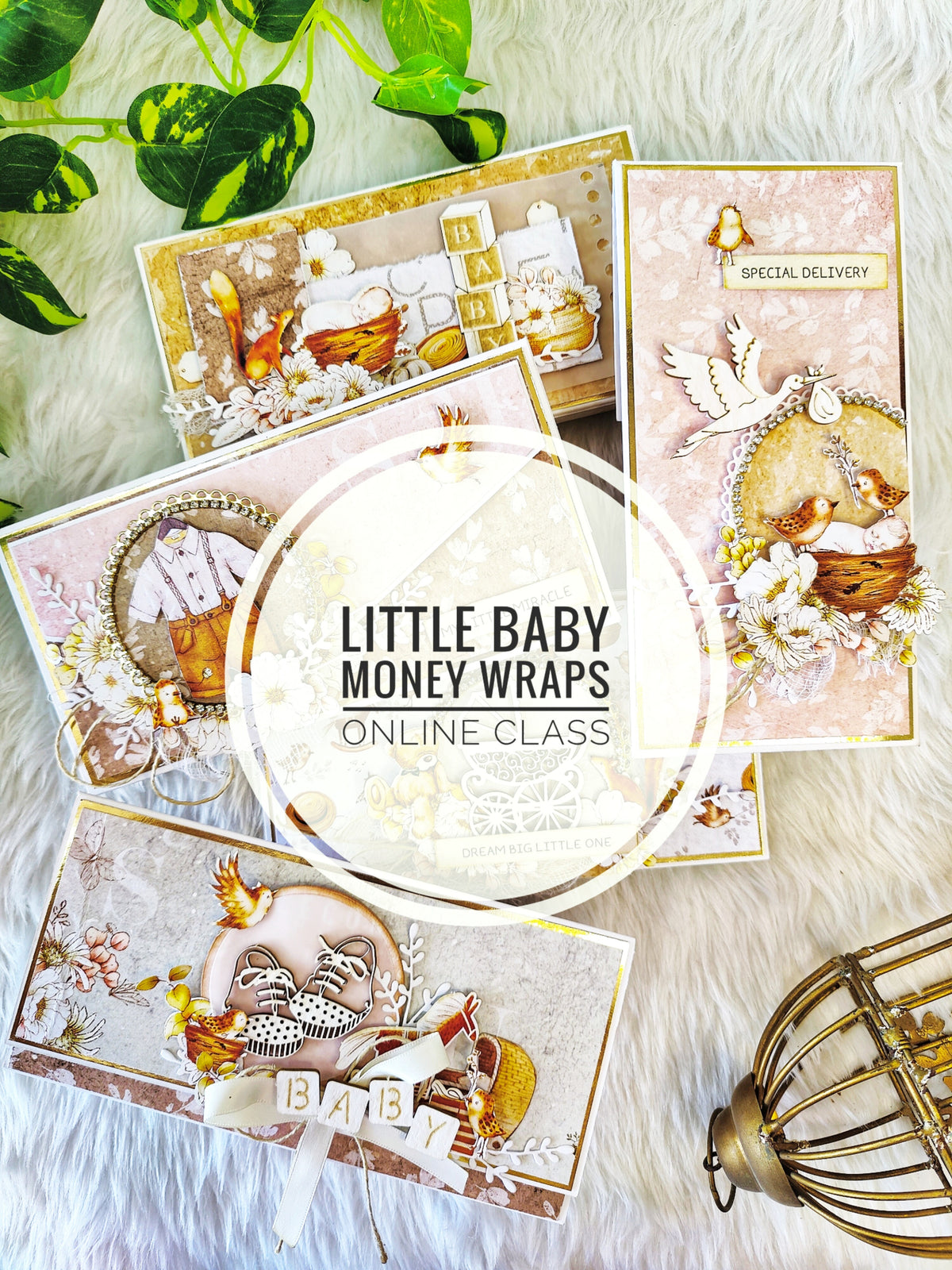 5 Baby wraps Course plus kit