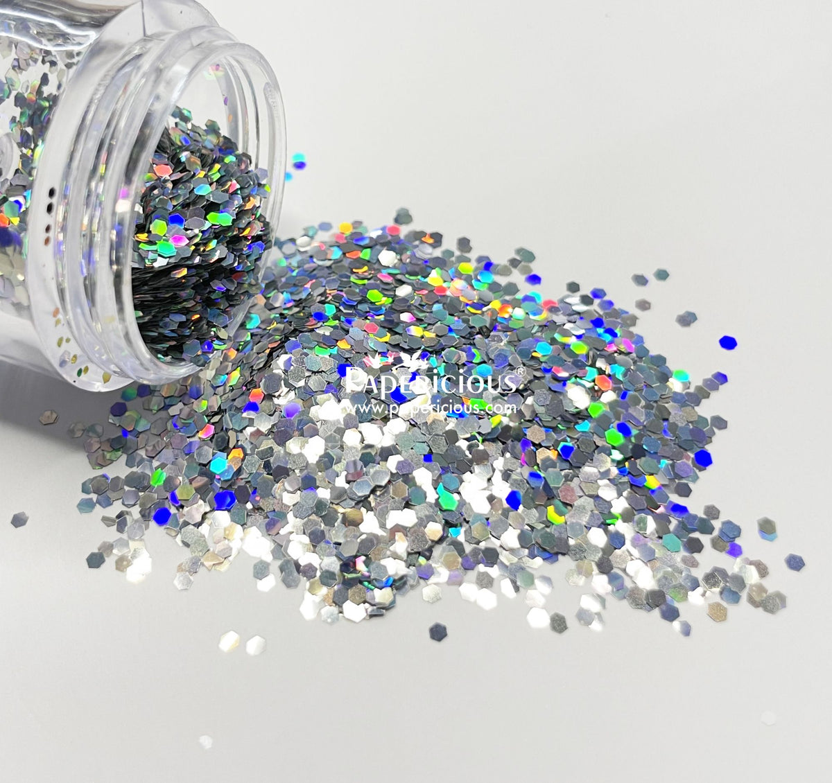 PAPERICIOUS - Holographic - Chunky Glitters- 13 gm