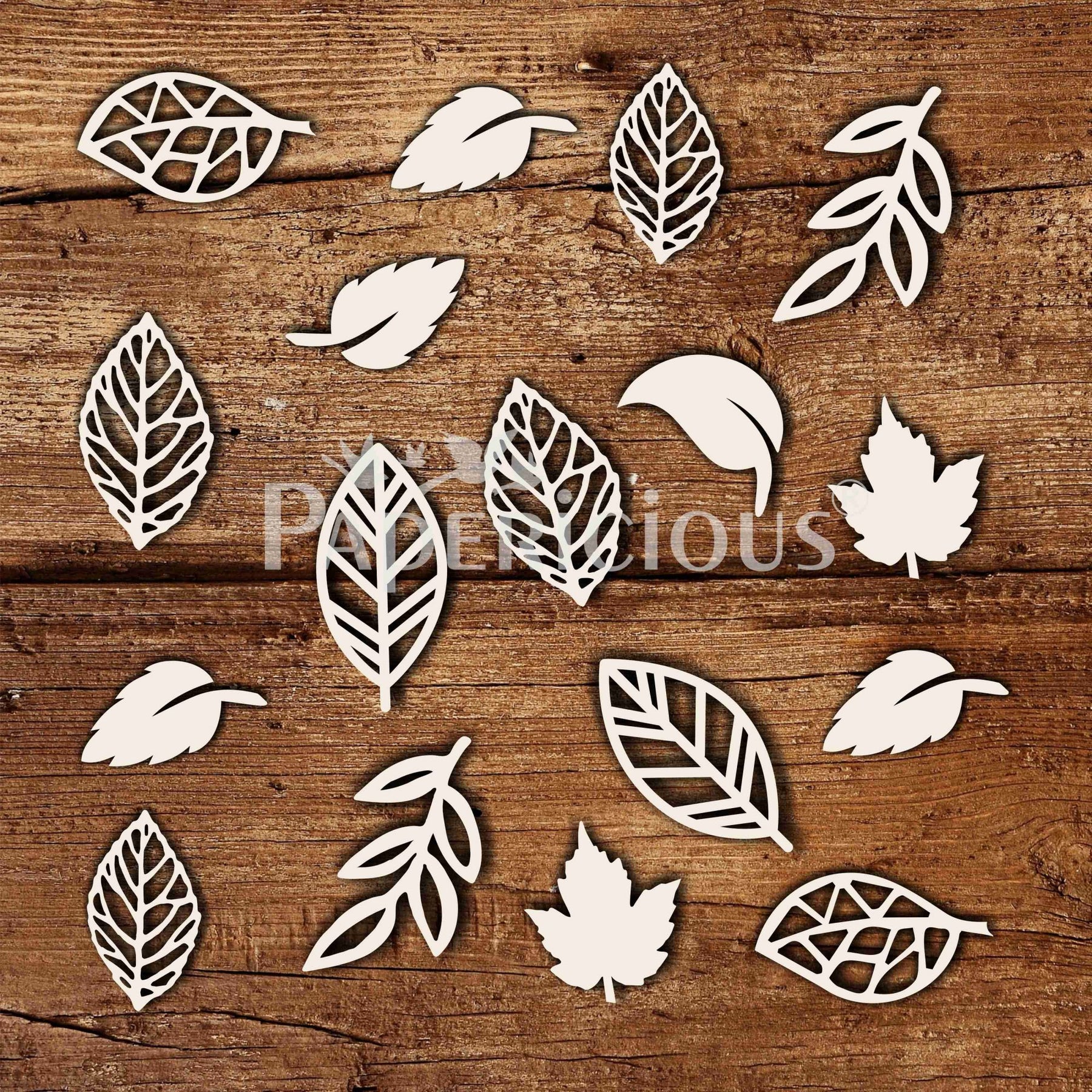 Leaves - 6x6 Inch Laser Cut Collage Chipboard (1.4mm)